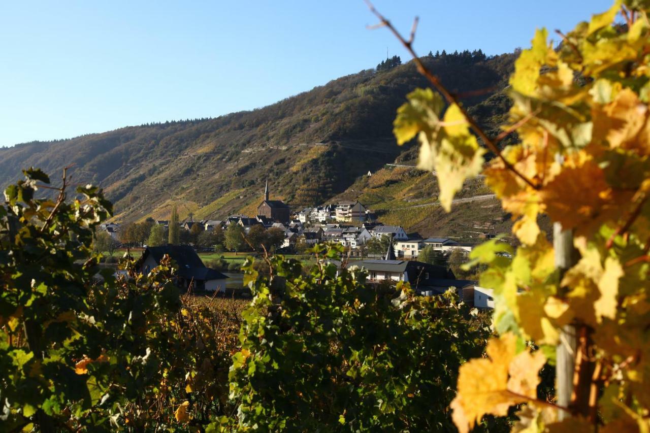 Ferienwohnung Moselblick-Stein Valwig Dış mekan fotoğraf